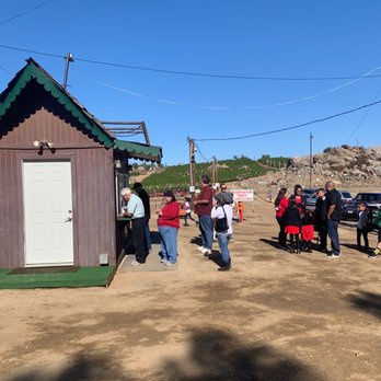 Sand Haven Pines - Already a line - Christmas Trees Near Me - Perris, California