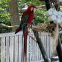 Photo of Lincoln Children's Zoo