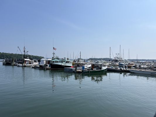 Harraseeket Lunch and Lobster Company by null
