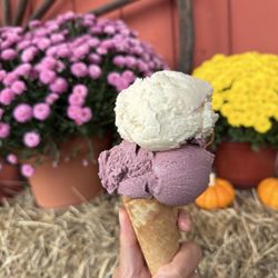 Gran-Val Scoop - Black raspberry and salted caramel