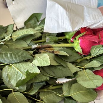 Orlando Flower Market - But this is our fault... not even 24hrs and u find this - Florists Near Me - Orlando, Florida Orlando Flower Market - But this is our fault... not even 24hrs and u find this - Florists Near Me - Orlando, Florida