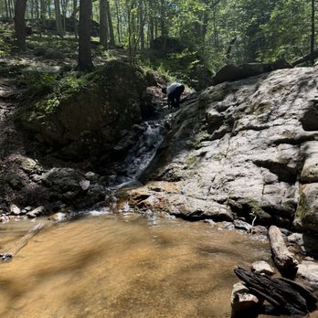 Patapsco State Park - Avalon Area - My kids used this stream as a water slide! - Parks Near Me - Halethorpe, Maryland Patapsco State Park - Avalon Area - My kids used this stream as a water slide! - Parks Near Me - Halethorpe, Maryland
