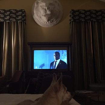 Kimpton Hotel Monaco Washington DC - Huge king bed but dogs sleep on me - Hotels Near Me - Washington, DC, District of Columbia Kimpton Hotel Monaco Washington DC - Huge king bed but dogs sleep on me - Hotels Near Me - Washington, DC, District of Columbia