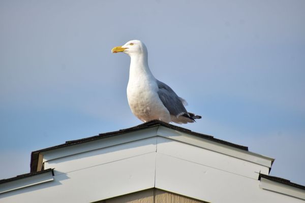 Harkness Memorial State Park