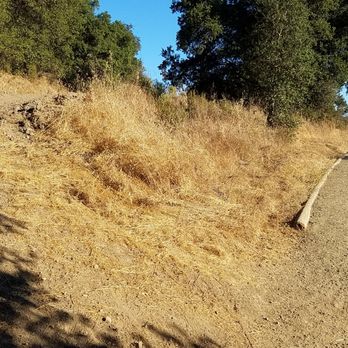 Picchetti Ranch Open Space Preserve - End of the Zinfandel Trail (before entering the Stevens Creek County Park) - Parks Near Me - Cupertino, California Picchetti Ranch Open Space Preserve - End of the Zinfandel Trail (before entering the Stevens Creek County Park) - Parks Near Me - Cupertino, California