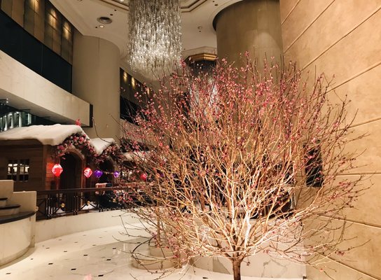 Photo of 港島香格里拉大酒店 - Hong Kong, HK, HK. Lunar New Year Decor at Nighttime