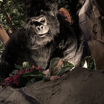 Rainforest Cafe - American Near Me - Ontario, California Rainforest Cafe - American Near Me - Ontario, California