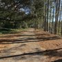 Photo of L Scott Stell Park