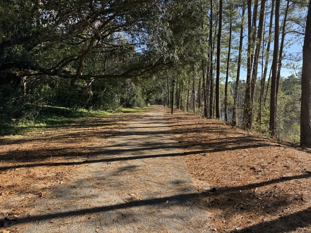 L Scott Stell Park Image