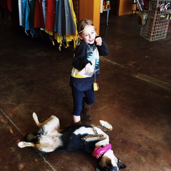 Guerrilla Graphix - Taos - Friendly store pup - Graphic Design Near Me - Taos, New Mexico