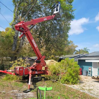 Tampa Tree Works - Tree Services Near Me Tampa Tree Works - Tree Services Near Me
