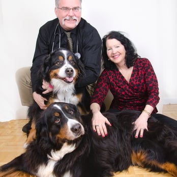 Advanced Veterinary Care - Dr. Chace, Joan, Bessie & Vixen Chace ! - Veterinarians Near Me - Farmington, Connecticut Advanced Veterinary Care - Dr. Chace, Joan, Bessie & Vixen Chace ! - Veterinarians Near Me - Farmington, Connecticut
