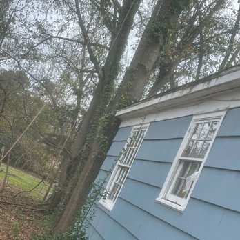 Southern Grind Stump & Tree Removal - Tree removal - Tree Services Near Me - Augusta, Georgia Southern Grind Stump & Tree Removal - Tree removal - Tree Services Near Me - Augusta, Georgia