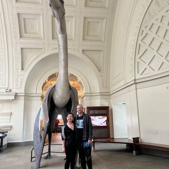 Field Museum - With a life-sized replica of Quetzalcoatlus. - Museums Near Me - Chicago, Illinois
