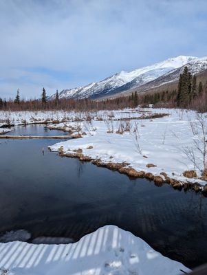 Eagle River Nature Center by null