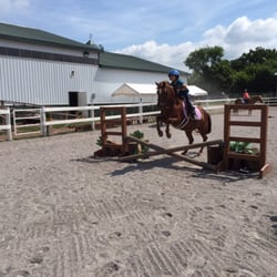 Saw Horse Farm - Lessons