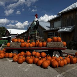 Hidden Valley Orchards