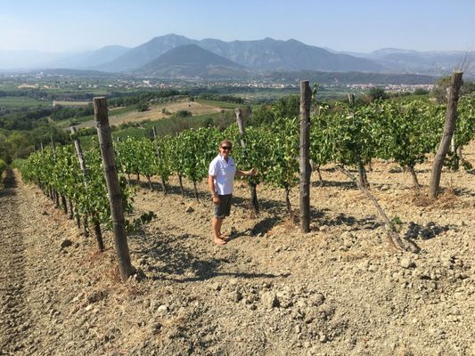 GRAPE + BEAN TASTING ROOM by null