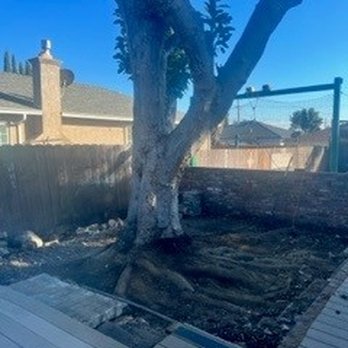 AAA Tree Service Inc - Tree, stump and roots totally removed. - Tree Services Near Me