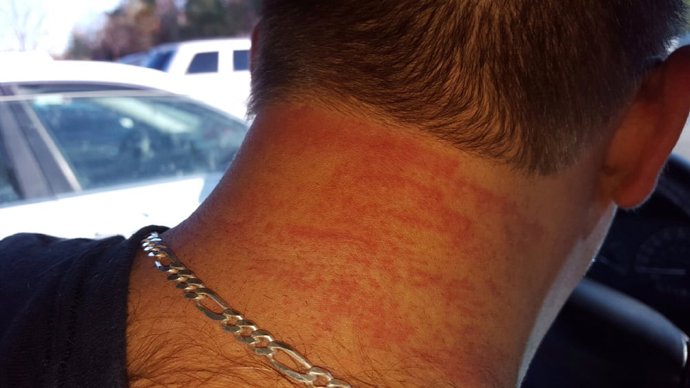 GREAT CLIPS Updated September 2024 15946 S Mur Len Rd, Olathe