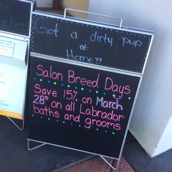 Petsmart - Pet Training Near Me - Albuquerque, New Mexico