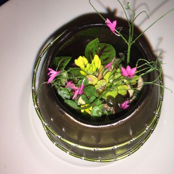 Le Cirque - English pea and tendrils - French Near Me - Las Vegas, Nevada