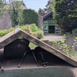 Belfast Zoo