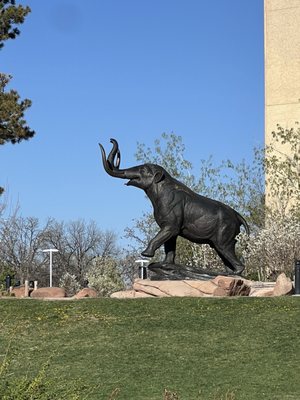City Park West by null