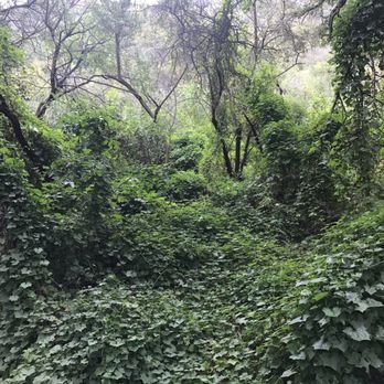 San Ysidro Falls Trail - Hiking Near Me - Montecito, California
