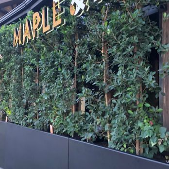 Maple & Ash - Street view, with a nice patio behind the vines. - Steakhouses Near Me - Scottsdale, Arizona Maple & Ash - Street view, with a nice patio behind the vines. - Steakhouses Near Me - Scottsdale, Arizona