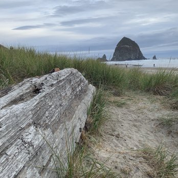 Surfsand Resort - Haystack... on Cannon Beach - Hotels Near Me - Cannon Beach, Oregon Surfsand Resort - Haystack... on Cannon Beach - Hotels Near Me - Cannon Beach, Oregon