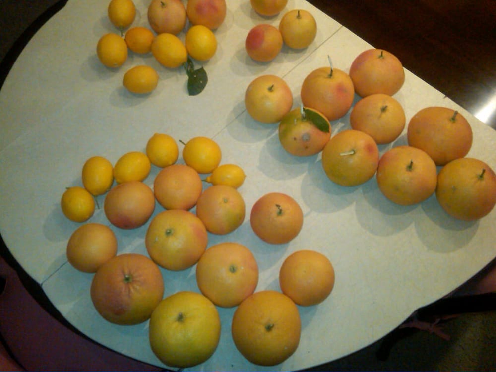 BIGHORN PROPERTIES Updated September 2024 15 Photos 255 Palowet