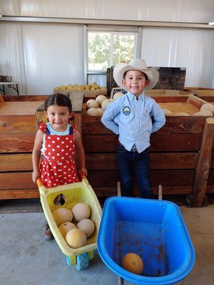 Del Bosque Farms by null