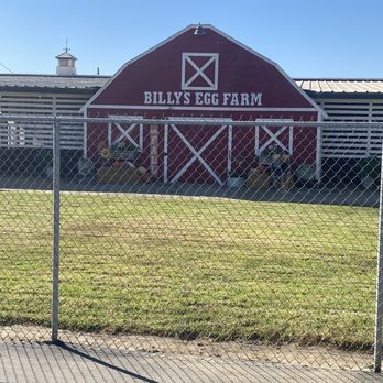 BILLY’S EGG FARM - Updated December 2024 - 522 Photos & 687 Reviews