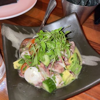 Chaak Kitchen - Ceviche - Cocktail Bars Near Me - Tustin, California Chaak Kitchen - Ceviche - Cocktail Bars Near Me - Tustin, California