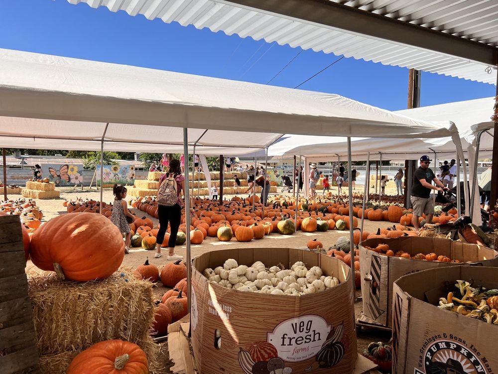 GILCHRIST FARM Updated October 2024 244 Photos & 133 Reviews