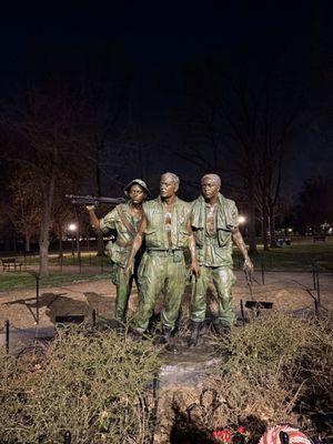 USA Guided Tours by null