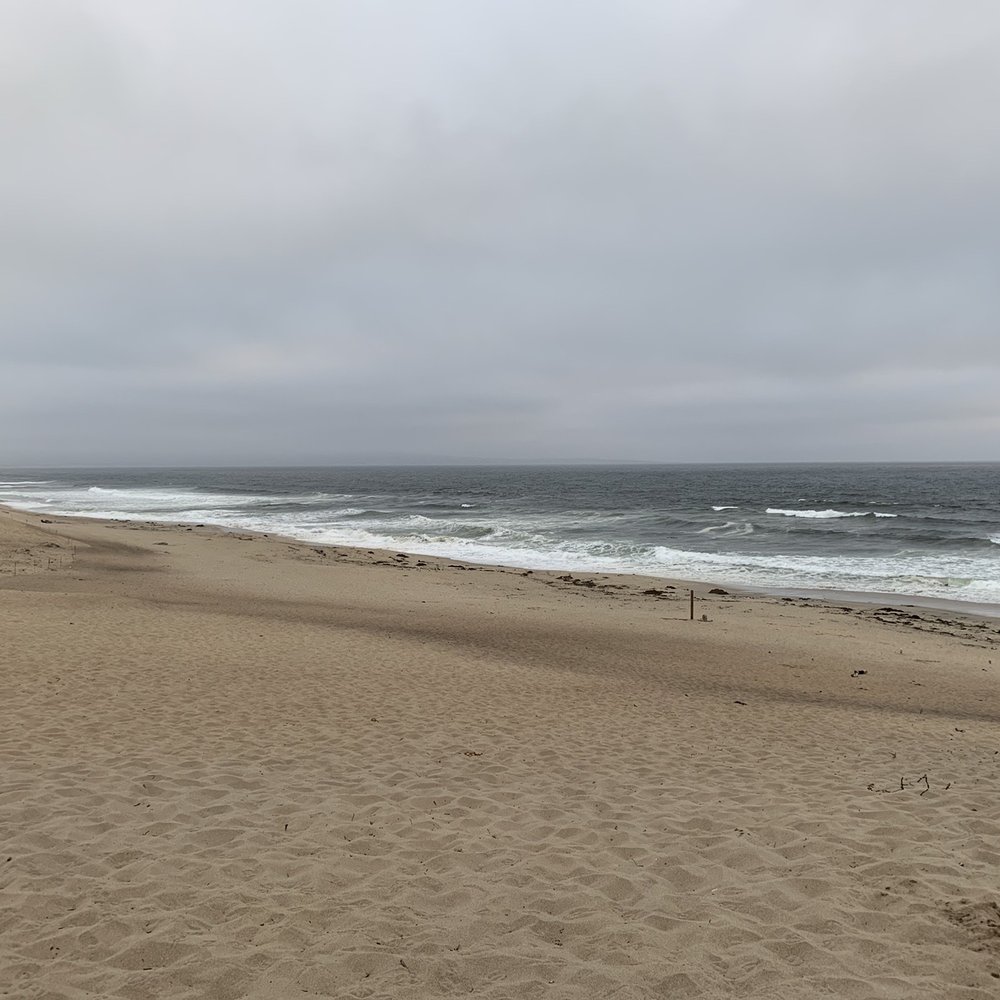 Marina State Beach - Beaches Near Me - Marina, California Marina State Beach - Beaches Near Me - Marina, California