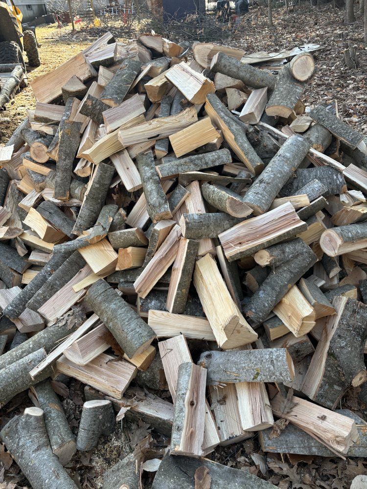 Blazing Birch Firewood & Felling - tree service in Berwick, ME