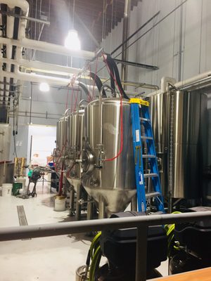 Giant Jones Brewing by null