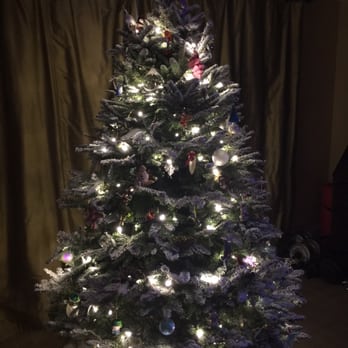 Live Oak Canyon Pumpkin Patch And Christmas Tree Farm Temp Closed 726 Photos 439 Reviews Christmas Trees 32335 Live Oak Canyon Rd Redlands Ca Phone Number Yelp