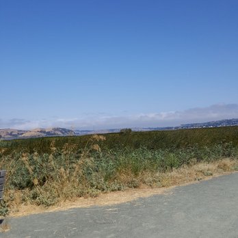 Radke Martinez Regional Shoreline - Parks Near Me - Martinez, California Radke Martinez Regional Shoreline - Parks Near Me - Martinez, California