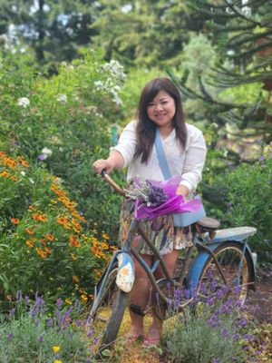 Wayward Winds Lavender Farm by null