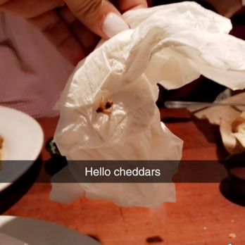 Cheddar's Scratch Kitchen - Both area - American Near Me - Lufkin, Texas Cheddar's Scratch Kitchen - Both area - American Near Me - Lufkin, Texas