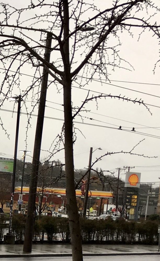 SHELL Updated October 2024 511 S Dearborn St, Seattle, Washington