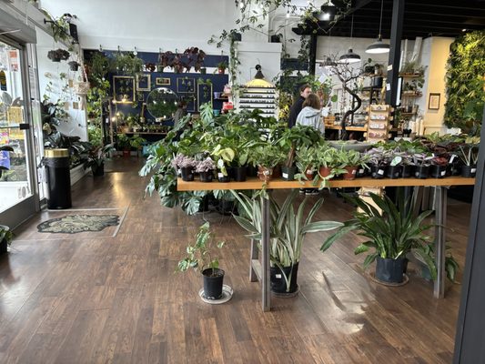 Greenhouse Coffee + Plants by null