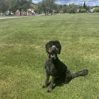 Pet Supplies Plus Vacaville - Pet Groomers Near Me - Vacaville, California Pet Supplies Plus Vacaville - Pet Groomers Near Me - Vacaville, California