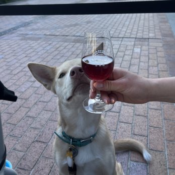 Goodtime Bar - Wine Bars Near Me - San Jose, California Goodtime Bar - Wine Bars Near Me - San Jose, California