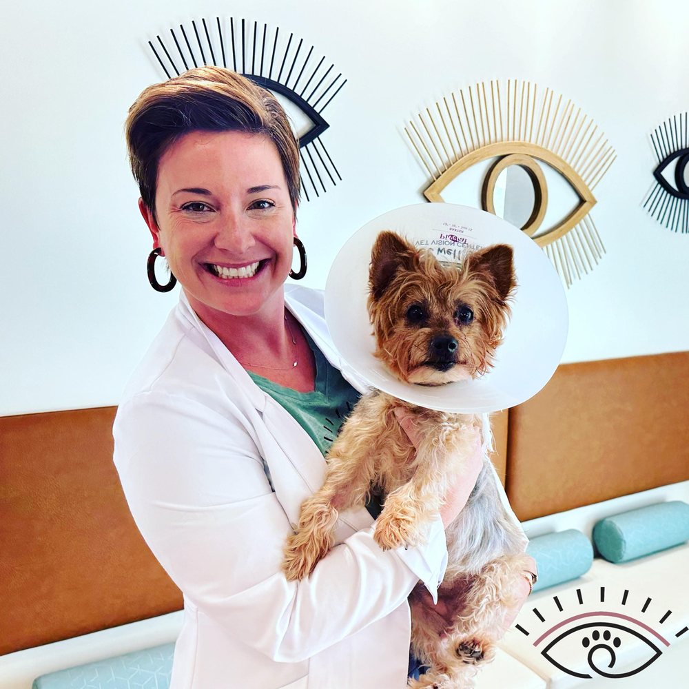 VET VISION CENTER Updated October 2024 1530 Route 179, Lambertville, New Jersey