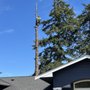 All That and More Tree Service
